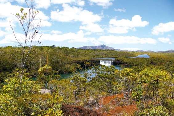 La province Sud ferme le parc de la rivière Bleue