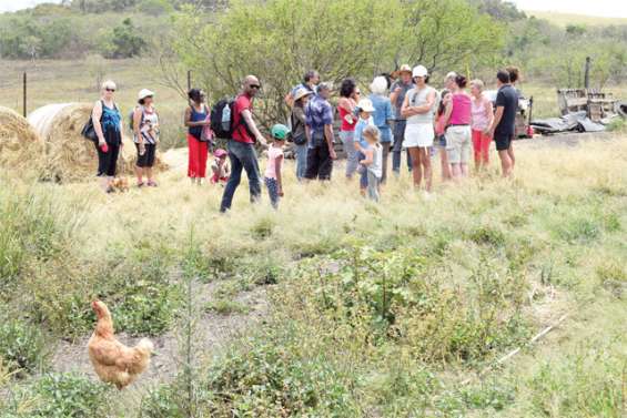 En visite dans les jardins bio