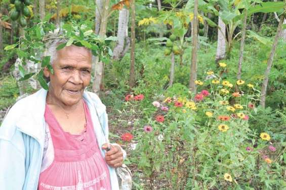 La vieille dame et les balles