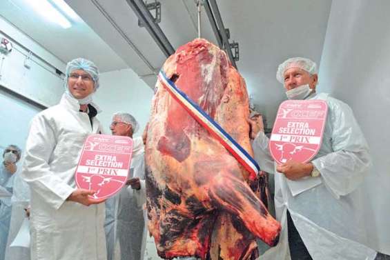 Enchères en or pour viande d'exception