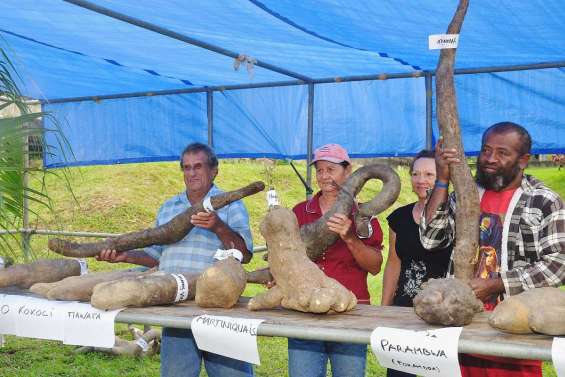 En attendant la Fête de l'igname