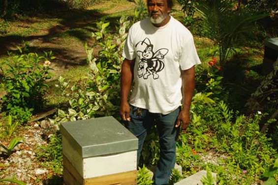 Les abeilles essaiment sur Nengone