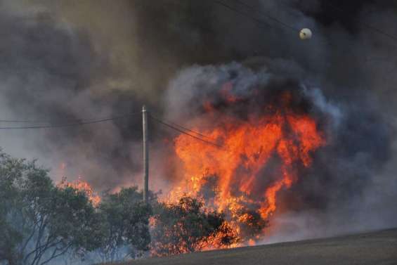 Plus de 100 hectares détruits par les flammes