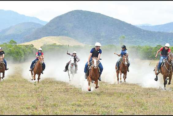 La fête jusqu'à la nuit