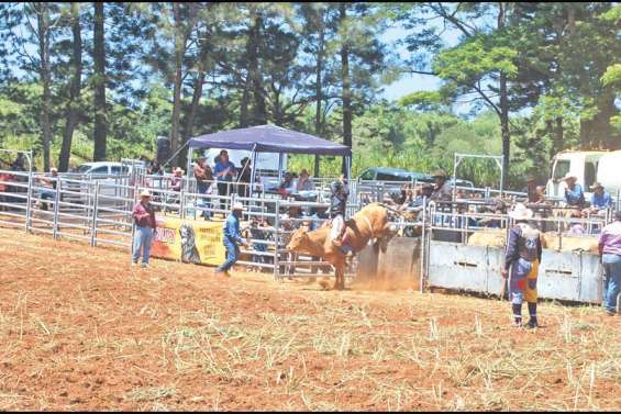 Du rodéo au village