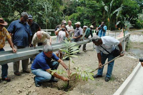 Gohapin par tout temps