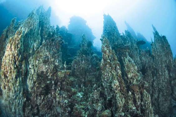 Prony aux sources de la vie