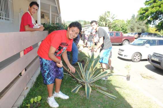 Les bons plants d'Anova