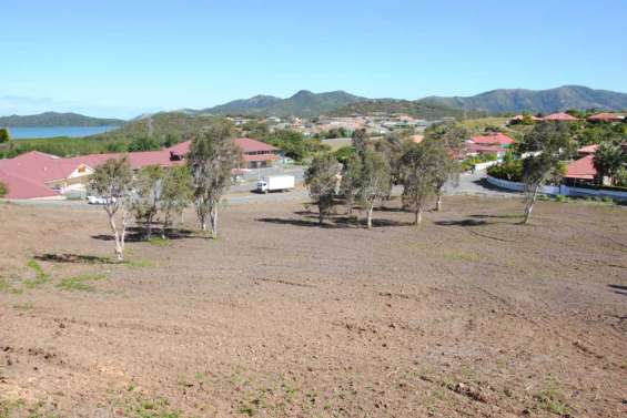 Savannah se met au vert