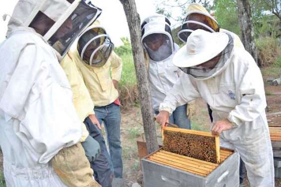 Les futurs apiculteurs butinent au Mont-Mou