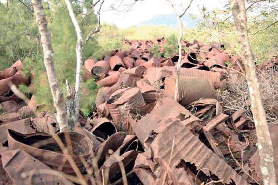 Fleuve de rouille dans la mangrove
