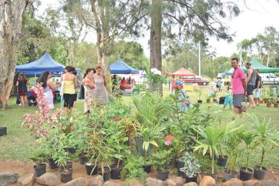 Premier marché de l'année au Mont-Mou