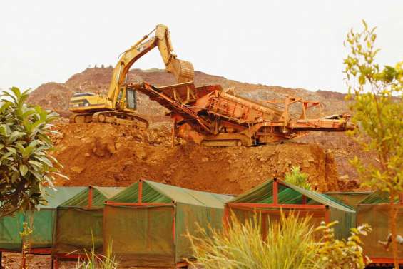 Compenser par la forêt sèche