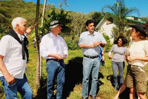 Des animations à profusion