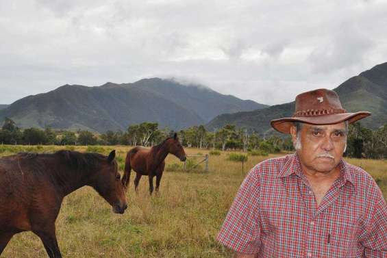 Joujou, une vie pour le bétail