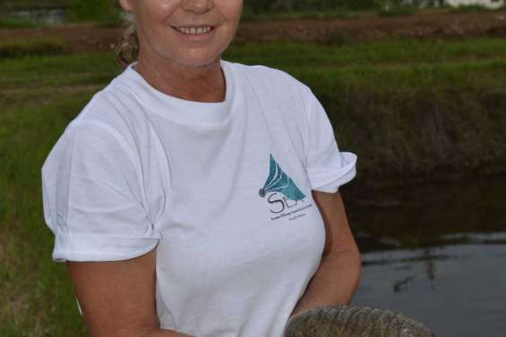 870 000 bêches-de-mer en un an