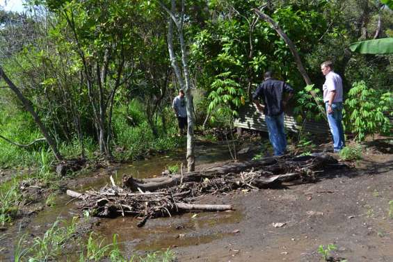 Un parc à cochons dévie la Bagha