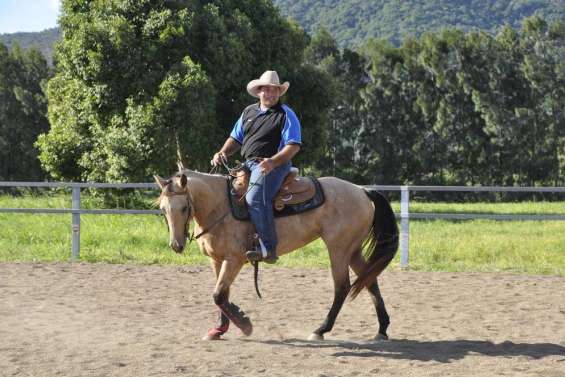 La rentrée du reining