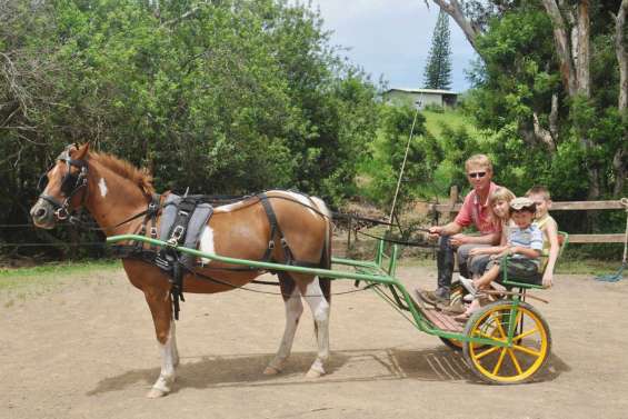 Bienvenue aux écuries Soñador
