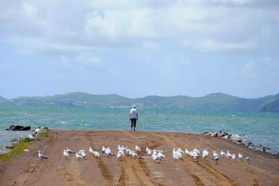 Des « ferries » et une police