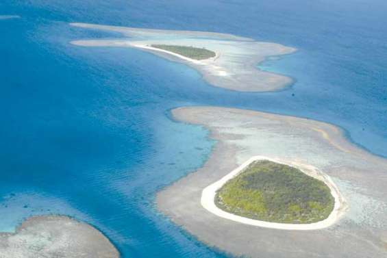 Récifs coralliens : une richesse naturelle et économique