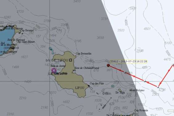 Un requin blanc près de Lifou