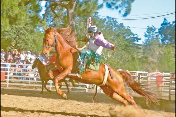 Sous le soleil de la foire