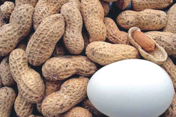 L'allergie alimentaire, mal du siècle