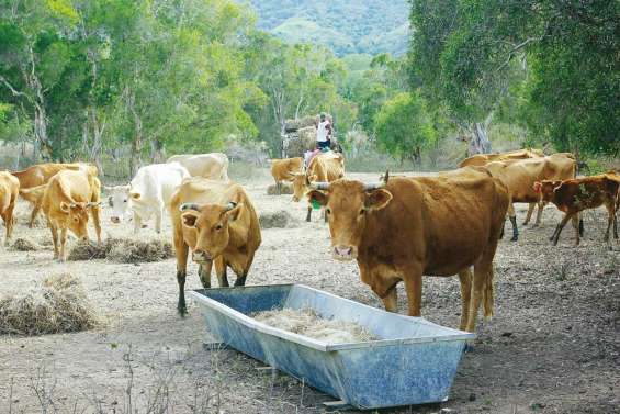 La pluie n'apaise rien
