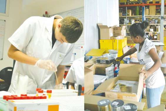 Premiers jours de travail