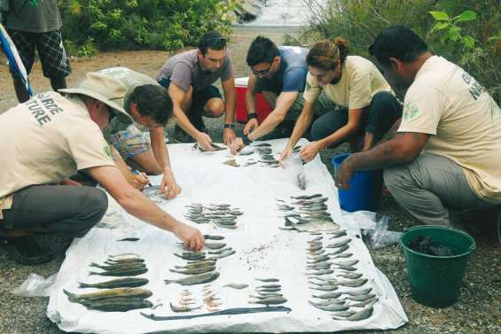 Pollution à Vale : les associations sur place