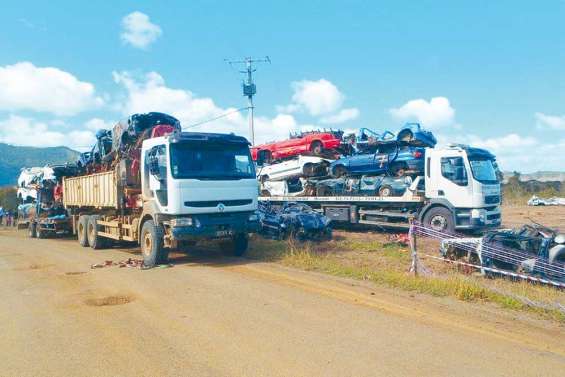 Chasse aux carcasses