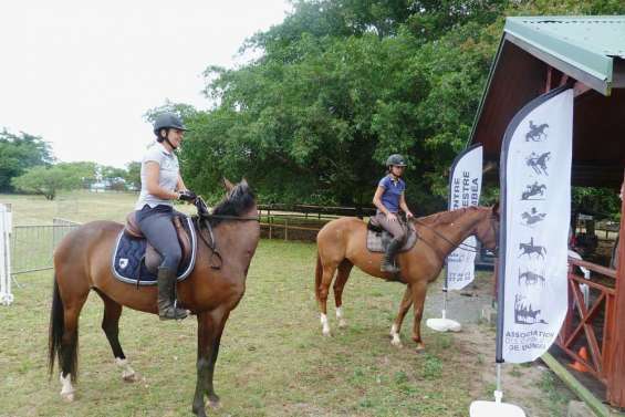 Des cavaliers à Déva