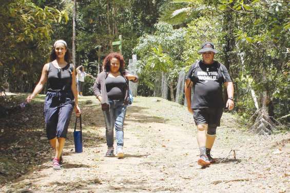 Les Réunionnais parcourent les Grandes Fougères