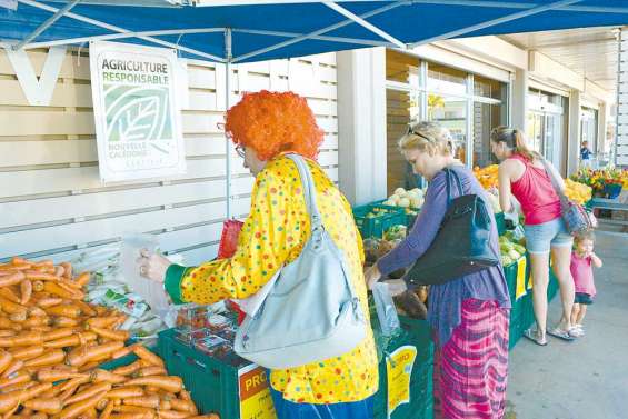 Légumes en quête de Repair