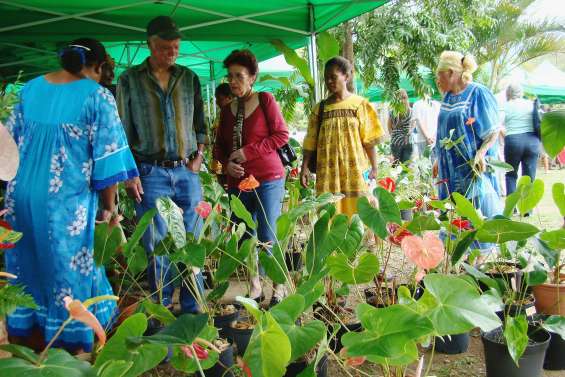 L'Agenda du week-end