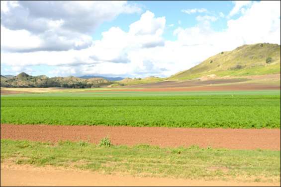 Trouver la clé des sols