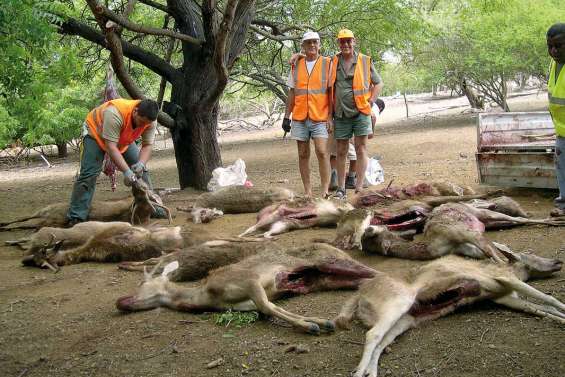 Cerfs, les mentalités vont changer