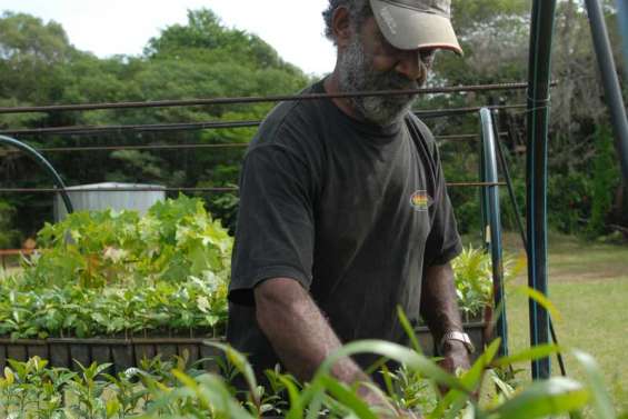 Mara Jati relance la machine