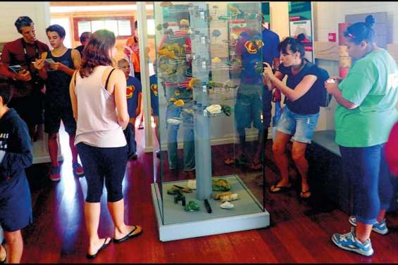 Une mine de pépites