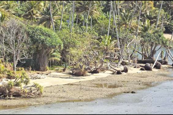 Une réalité inquiétante
