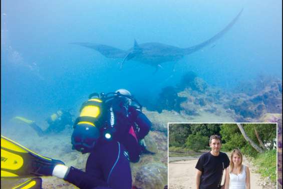 Les raies manta à la loupe