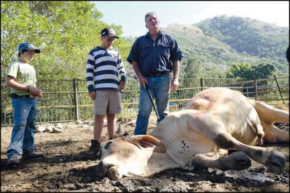 Franck-Gérald Bonnard, éleveur  « au bout du rouleau »