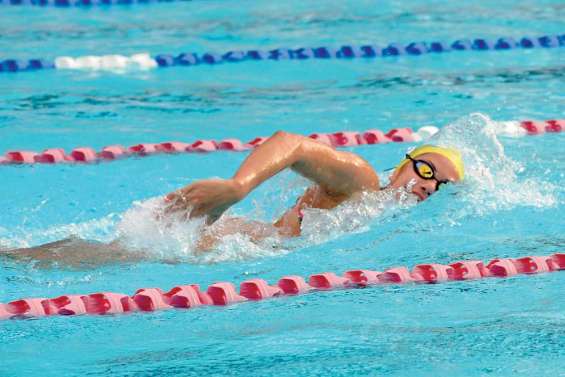 Terebo marque son territoire