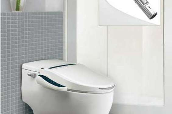 Toilettes à la japonaise