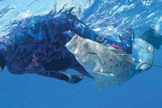 Baisse des quotas de pêche : la réflexion est engagée