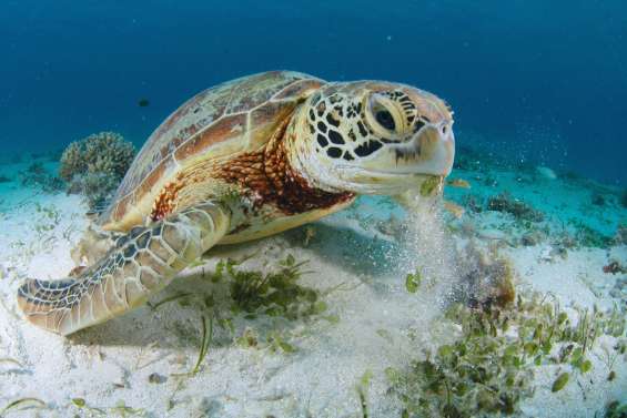 L'Agenda du week-end