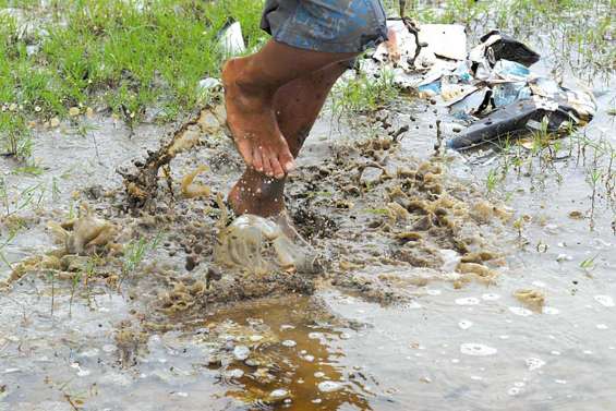 Un cinquième mort de la leptospirose
