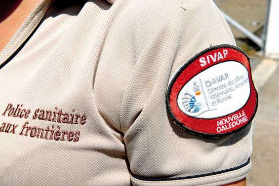 La santé, enjeu des Jeux