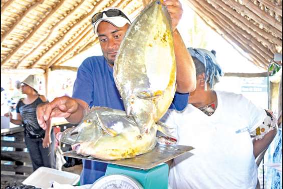 Du poisson du Nord sur les étals